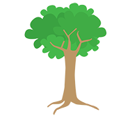 arbre-sentier-botanique