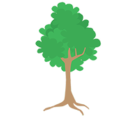 arbuste