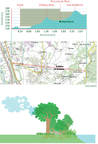 ripisylve-graphique-sentier