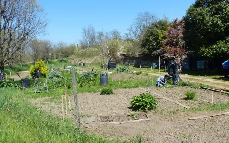 jardins-legue-potager-saint-hilaire-patrimoine
