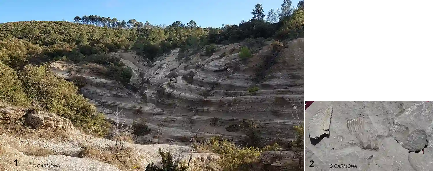 marnes-ammonite-blateiras