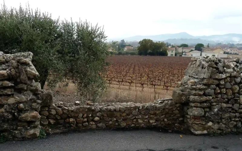 place-larnac-acacias-muret-saint-hilaire-patrimoine