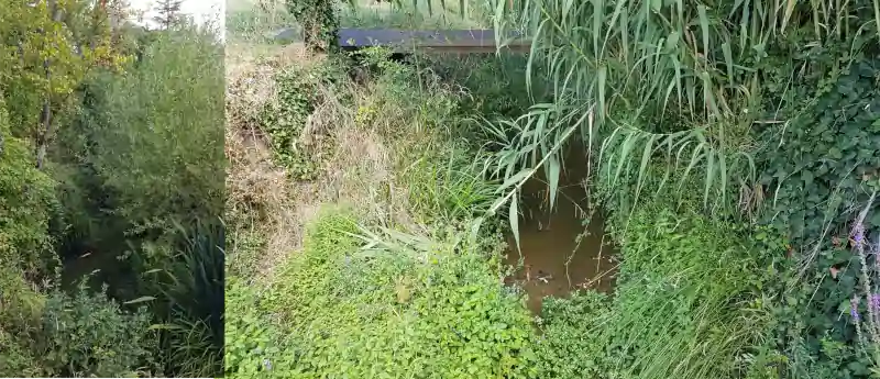 Ruisseau-Rieu-sentier patrimoine