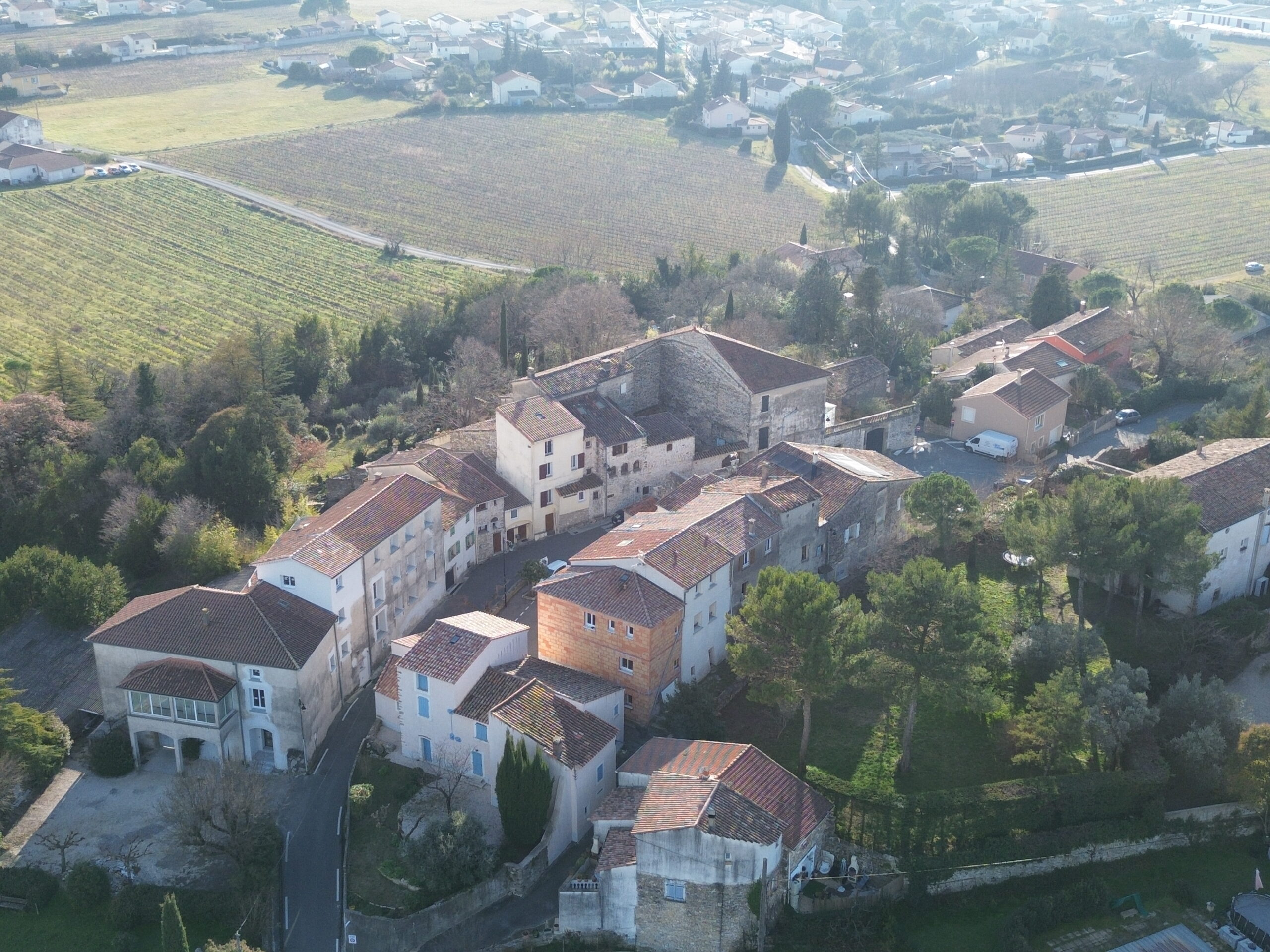 DCIM100MEDIADJI_0237.JPG